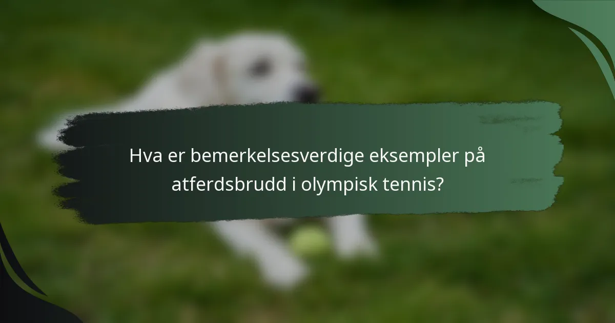 Hva er bemerkelsesverdige eksempler på atferdsbrudd i olympisk tennis?