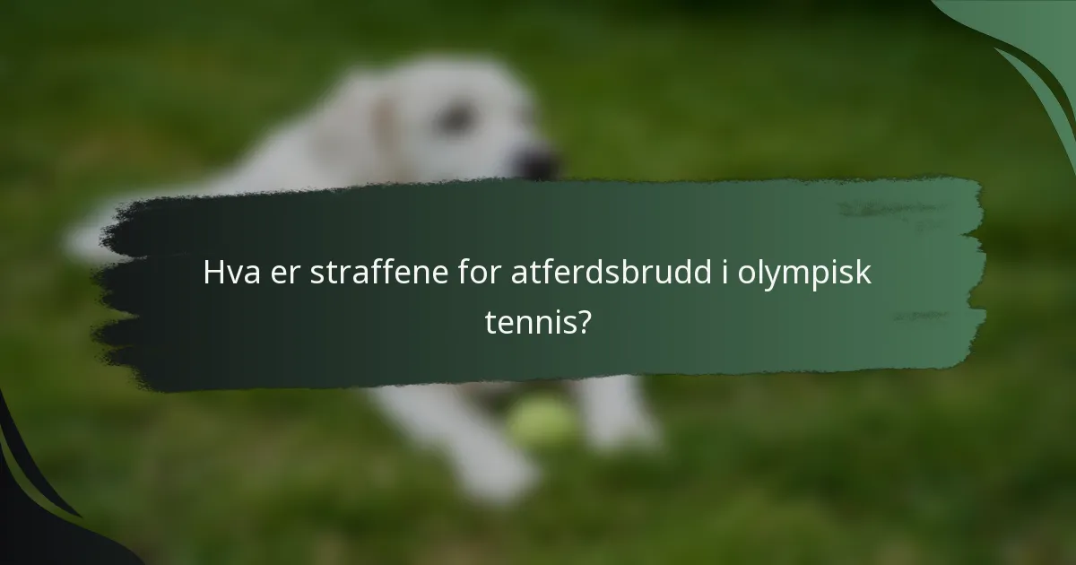 Hva er straffene for atferdsbrudd i olympisk tennis?