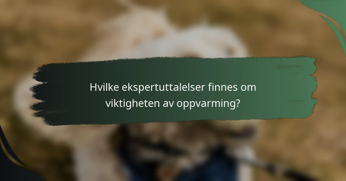 Hvilke ekspertuttalelser finnes om viktigheten av oppvarming?