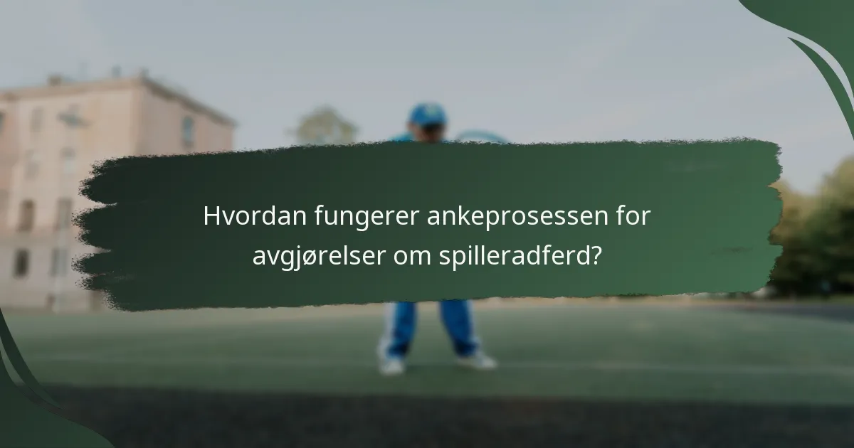 Hvordan fungerer ankeprosessen for avgjørelser om spilleradferd?