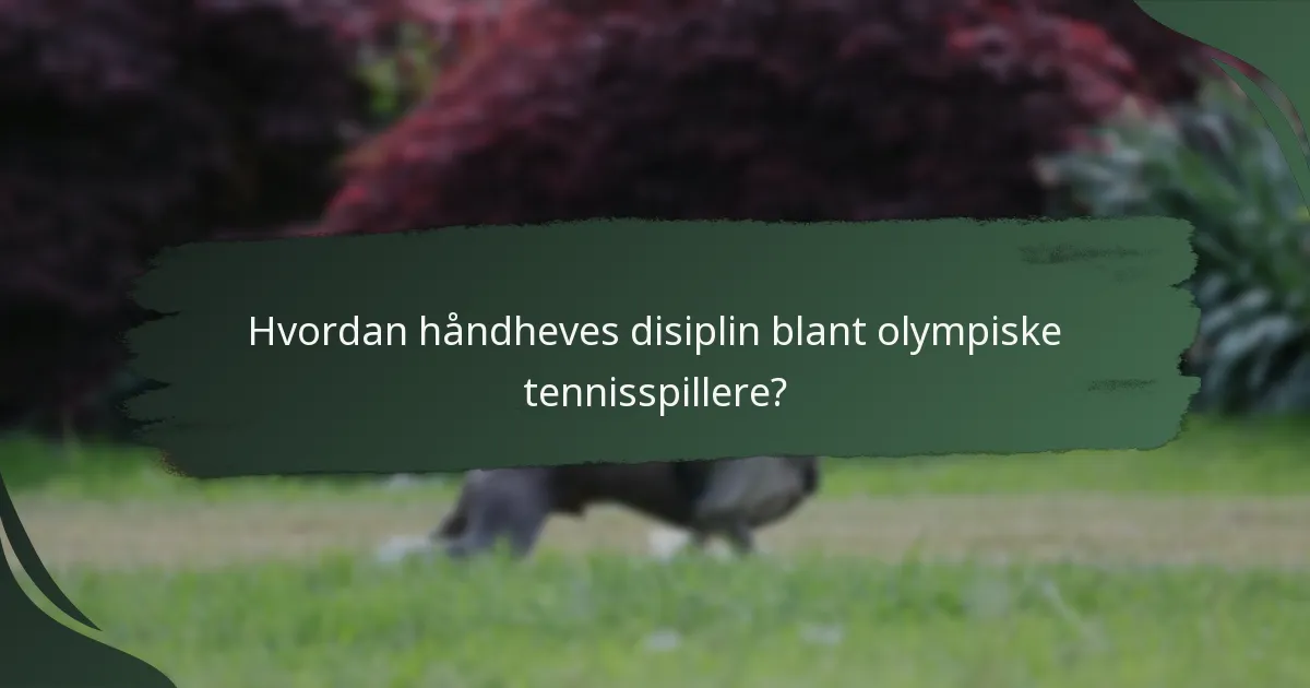 Hvordan håndheves disiplin blant olympiske tennisspillere?